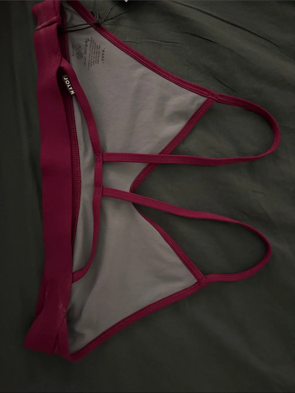 Jolyn Clothing Magenta V-Neck Swim Bralette